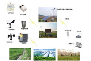 土壤监测系统的物联网技术应用,土壤监测系统技术解析