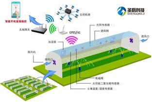 物联网系统种类有哪些组成（探究物联网系统的构成和分类）