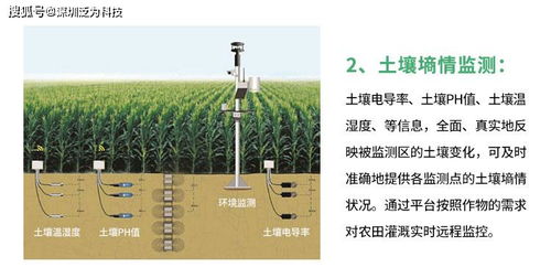 我国物联网灌溉系统有哪些（探讨物联网在灌溉领域的应用）