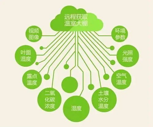 农业物联网系统功能详解，农业物联网系统的应用领域