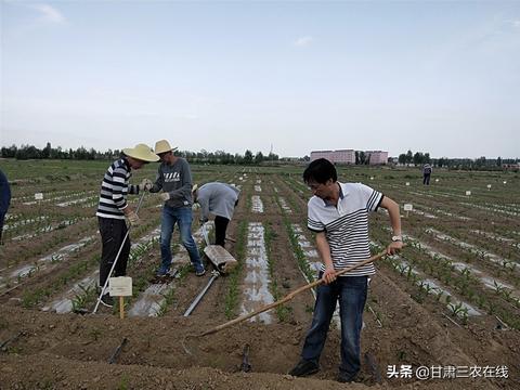 智能农业物联网系统功能介绍，智能农业物联网系统构成要素