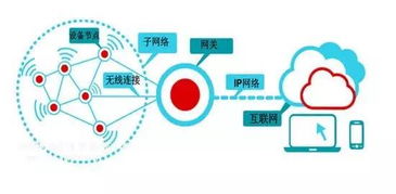 物联网应用系统有哪些知乎（探讨物联网应用系统的发展前景）