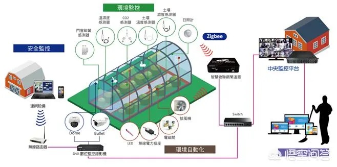 蔬菜物联网系统有哪些类型（探讨蔬菜物联网系统的分类和特点）