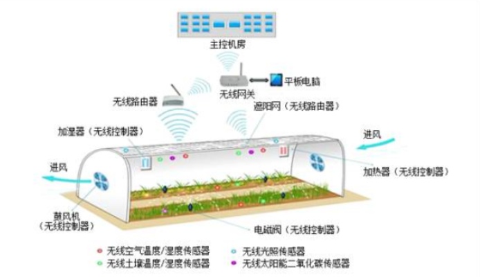 蔬菜物联网系统有哪些类型（探讨蔬菜物联网系统的分类和特点）