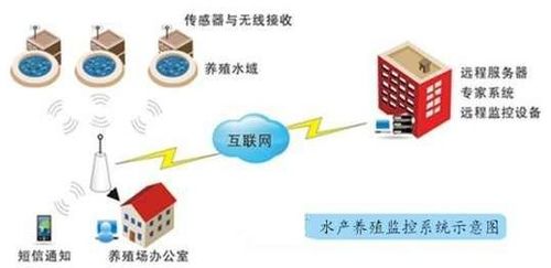 物联网系统一般包括哪些（详解物联网系统的组成要素）