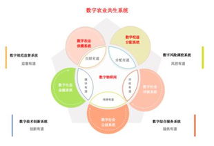 物联网共生系统有哪些组成（探究物联网共生系统构建要素）