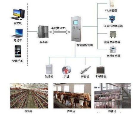 畜牧物联网系统种类及应用场景介绍