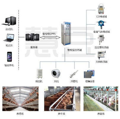 畜牧物联网系统种类及应用场景介绍
