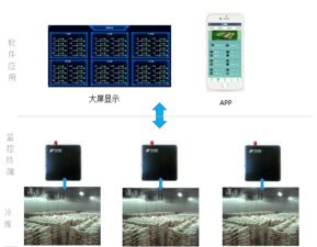 冷库物联网系统品牌推荐，冷库物联网系统哪个好