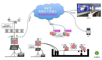 华为新型物联网系统有哪些（探索华为最新物联网技术）