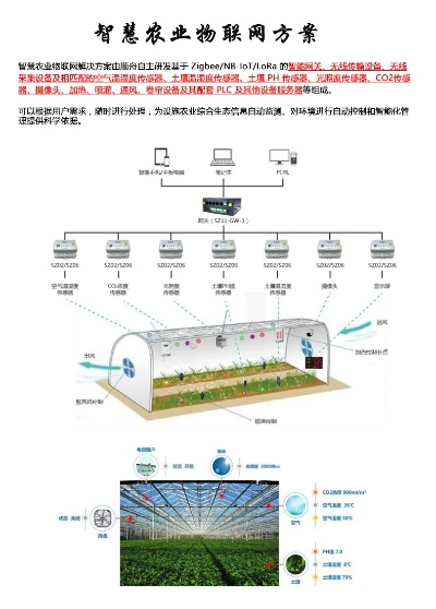 蔬菜物联网系统功能介绍，蔬菜生长监控与管理方案