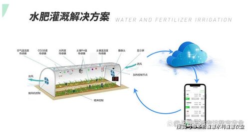 邯郸农业物联网系统有哪些（邯郸农业物联网系统介绍）