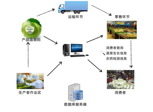 蔬菜物联网系统功能介绍及应用案例