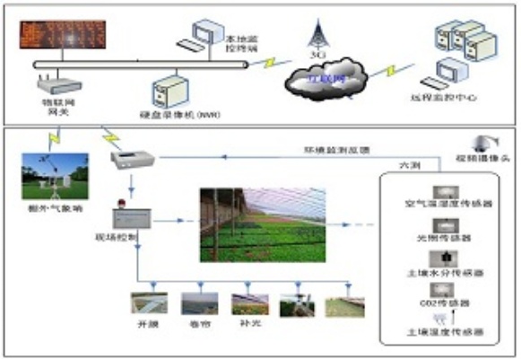 茶叶厂物联网系统应用案例,茶叶厂智能化生产解决方案