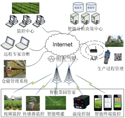 茶叶厂物联网系统应用案例,茶叶厂智能化生产解决方案