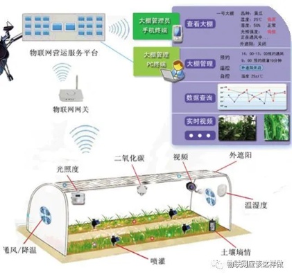 物联网植保系统功能介绍,物联网植保系统原理解析