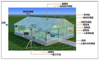 农业物联网控制系统有哪些功能,农业物联网控制系统案例分析