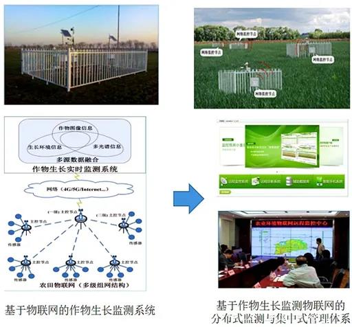 典型物联网系统有哪些（探究物联网系统的应用案例）