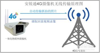 油田物联网系统的部门设置及职责分工