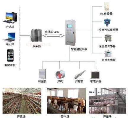 畜牧物联网系统包括哪些（详解畜牧物联网系统的组成）