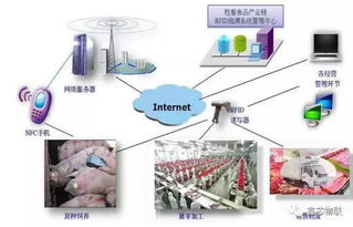 畜禽舍物联网系统有哪些（畜禽养殖智能化技术探析）