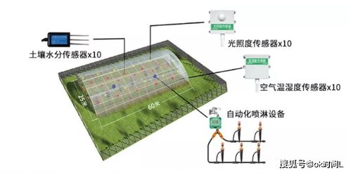 畜禽舍物联网系统有哪些（畜禽养殖智能化技术探析）