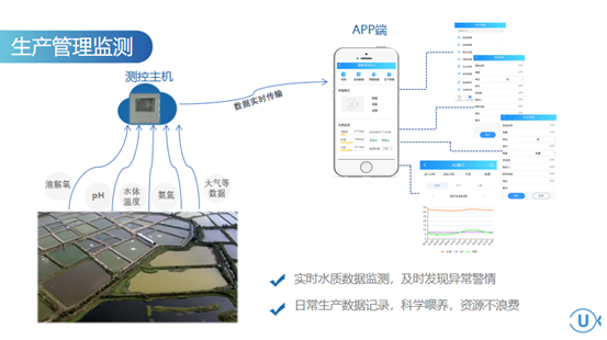 智能鱼塘物联网系统有哪些（探讨智能化鱼塘管理新趋势）