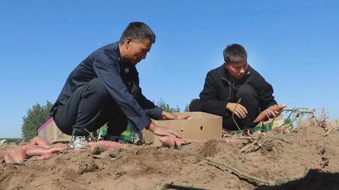 农田物联网系统包括哪些(农田物联网系统的构成要素)