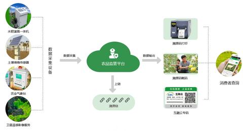 物联网系统主要功能有哪些（探讨物联网系统的核心功能）