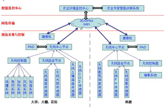 智慧农业物联网系统组成有哪些（智慧农业物联网系统构建）