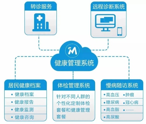 物联网智能健康系统介绍,物联网健康监测技术应用案例