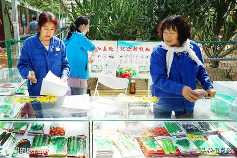 蔬菜物联网系统有哪些种类（探讨蔬菜种植中的物联网应用）