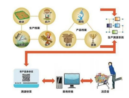 产品溯源物联网系统有哪些（产品追溯技术探究）