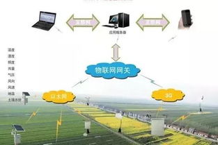 物联网农业系统有哪些,智能农业技术应用案例分享