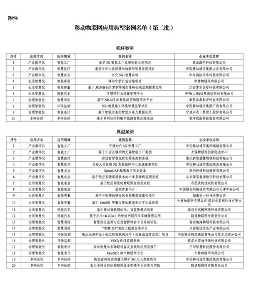 物联网信息系统包括哪些功能,物联网信息系统应用案例解析