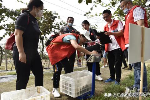 江津物联网称重系统有哪些（详解江津物联网称重系统功能及优势）