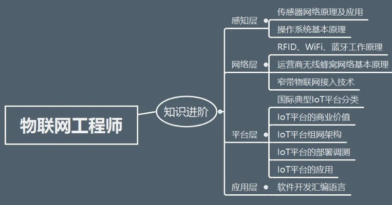 物联网系统管理员任职要求有哪些（物联网系统管理员的技能和经验要求）