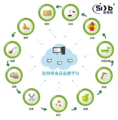 物联网生鲜系统有哪些特点（探讨物联网技术在生鲜领域的应用）