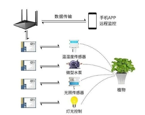 物联网绿化系统的功能介绍（物联网绿化系统功能详解）