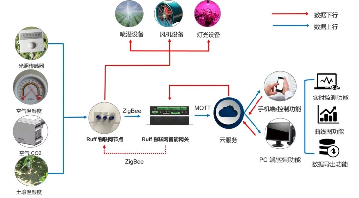 物联网绿化系统的功能介绍（物联网绿化系统功能详解）