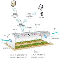 物联网小系统有哪些类型（探索物联网小系统的分类和应用）