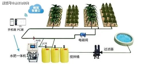 农业物联网认养系统有哪些（详解农业物联网认养系统的功能和特点）