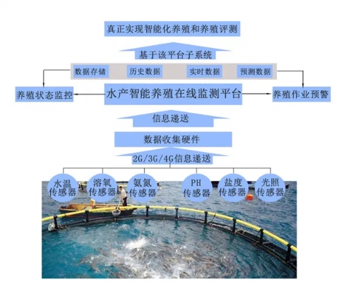 海洋渔业物联网系统有哪些（探讨海洋渔业物联网技术应用）