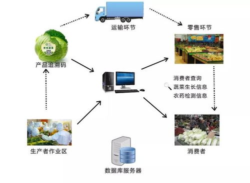 蔬菜物联网系统有哪些功能（探究蔬菜物联网系统的特点及应用）