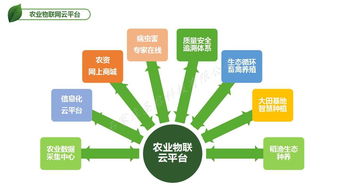 校园农业物联网系统有哪些（探究校园农业物联网系统的应用和优势）