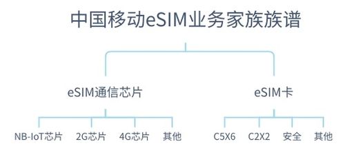 物联网动态系统有哪些功能（探索物联网动态系统的应用领域）