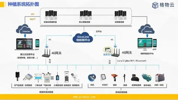 定位物联网系统有哪些特点（物联网系统定位技术解析）