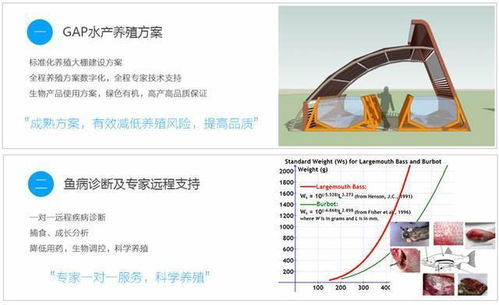 智能物联网渔业养殖系统有哪些（探索未来渔业发展趋势）