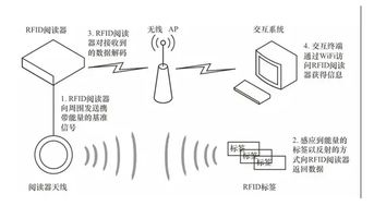 物联网智能标签系统有哪些（详解物联网智能标签应用）