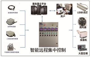 智慧物联网系统有哪些类型（探讨智慧物联网系统的分类）